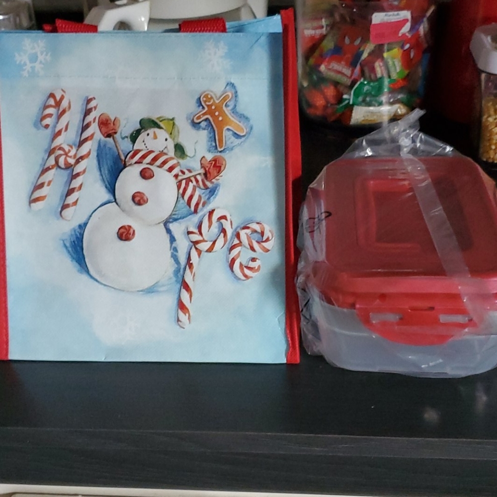 Lock and lock tote with matching handle container